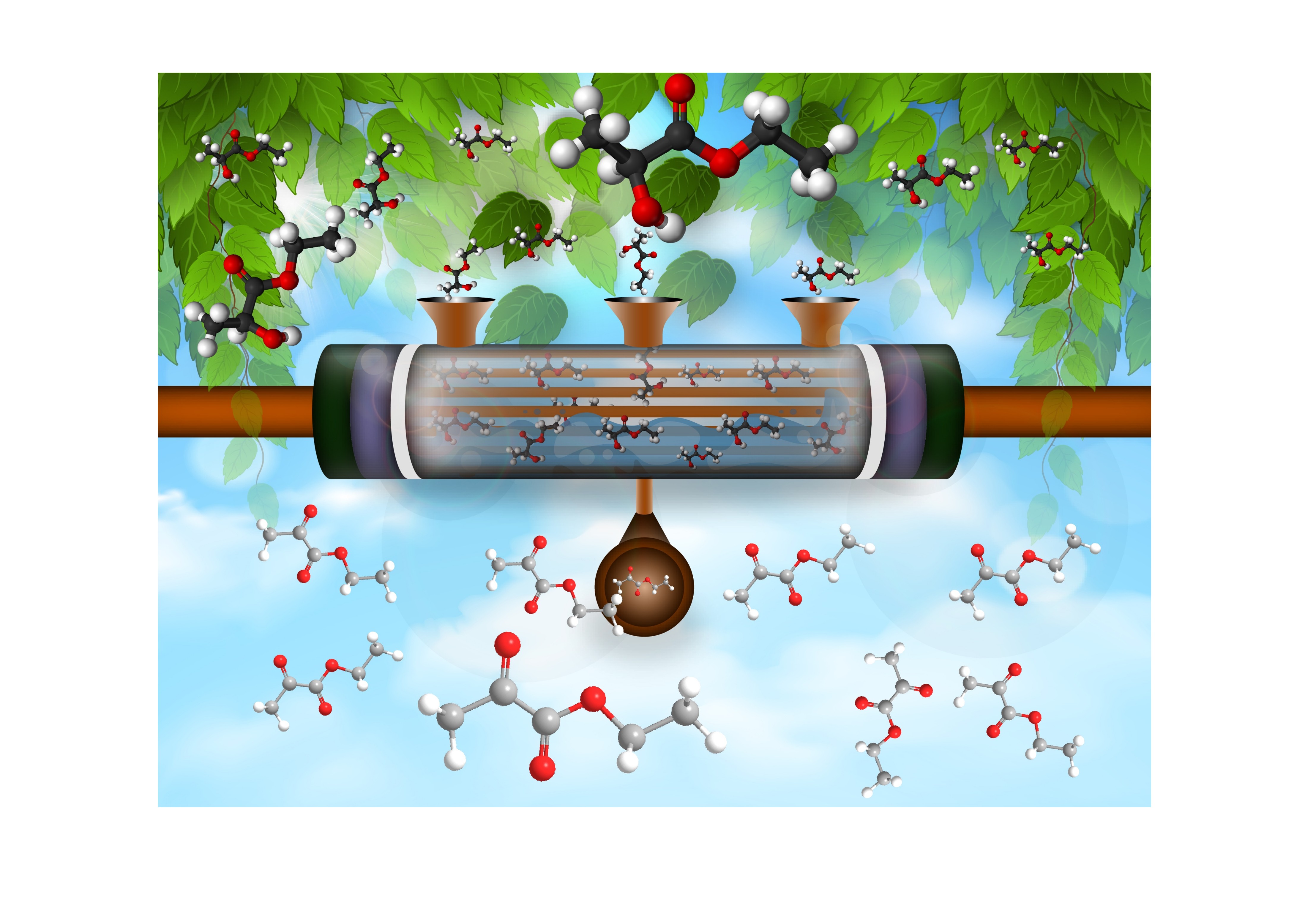 Biomass Conversion to Chemcials